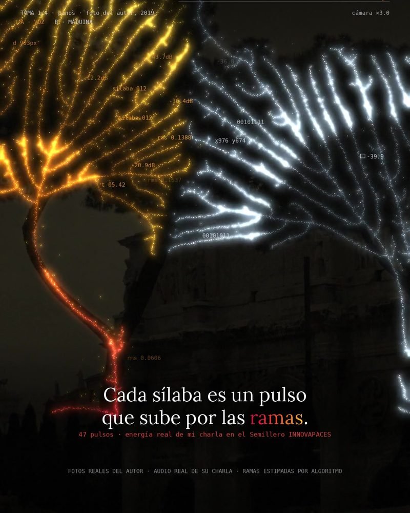 OBS 011 Ramas: la voz convertida en pulsos sobre ramas de palmera